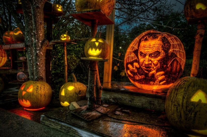 Carved Pumpkins Display — Orange