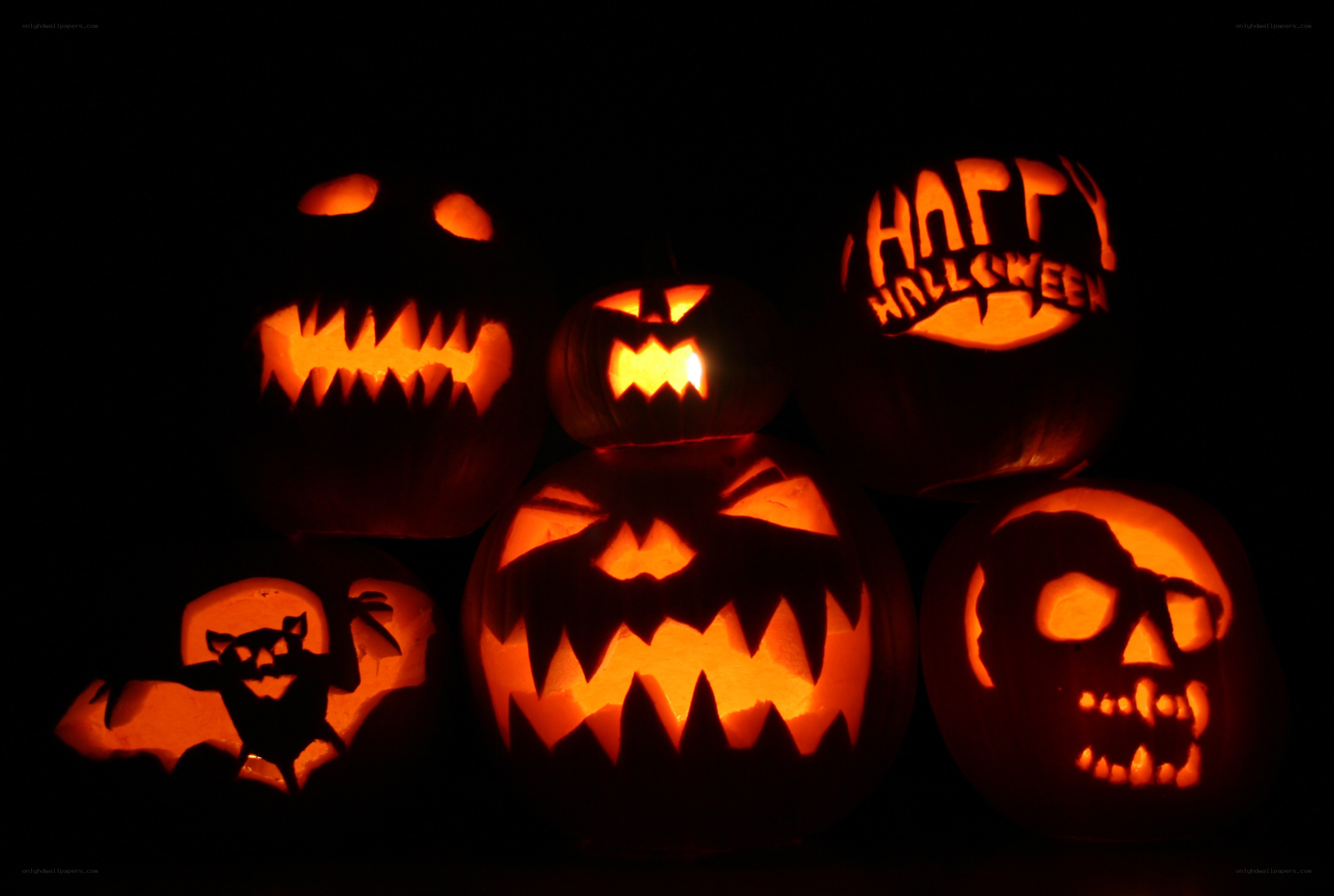 Carved pumpkins for Halloween