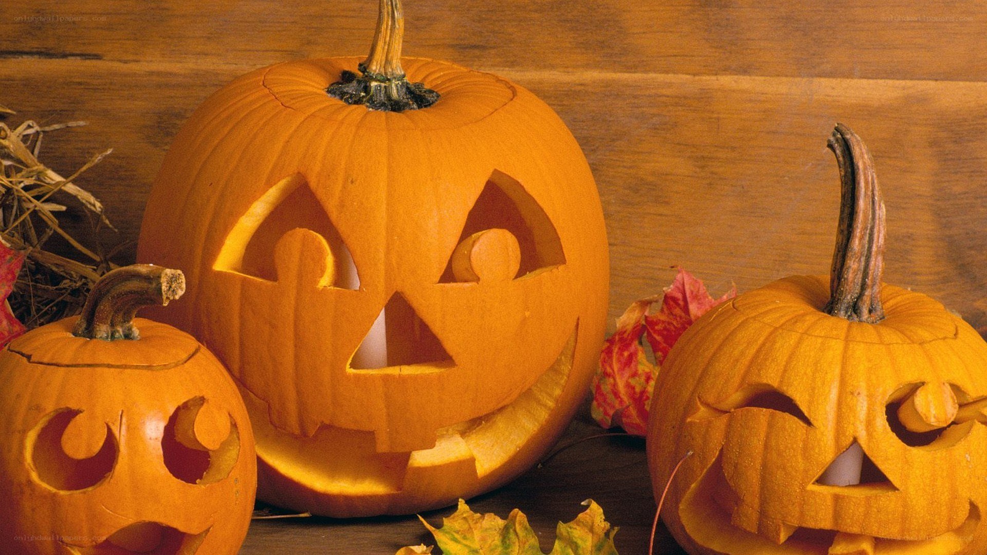 Carved pumpkins for Halloween