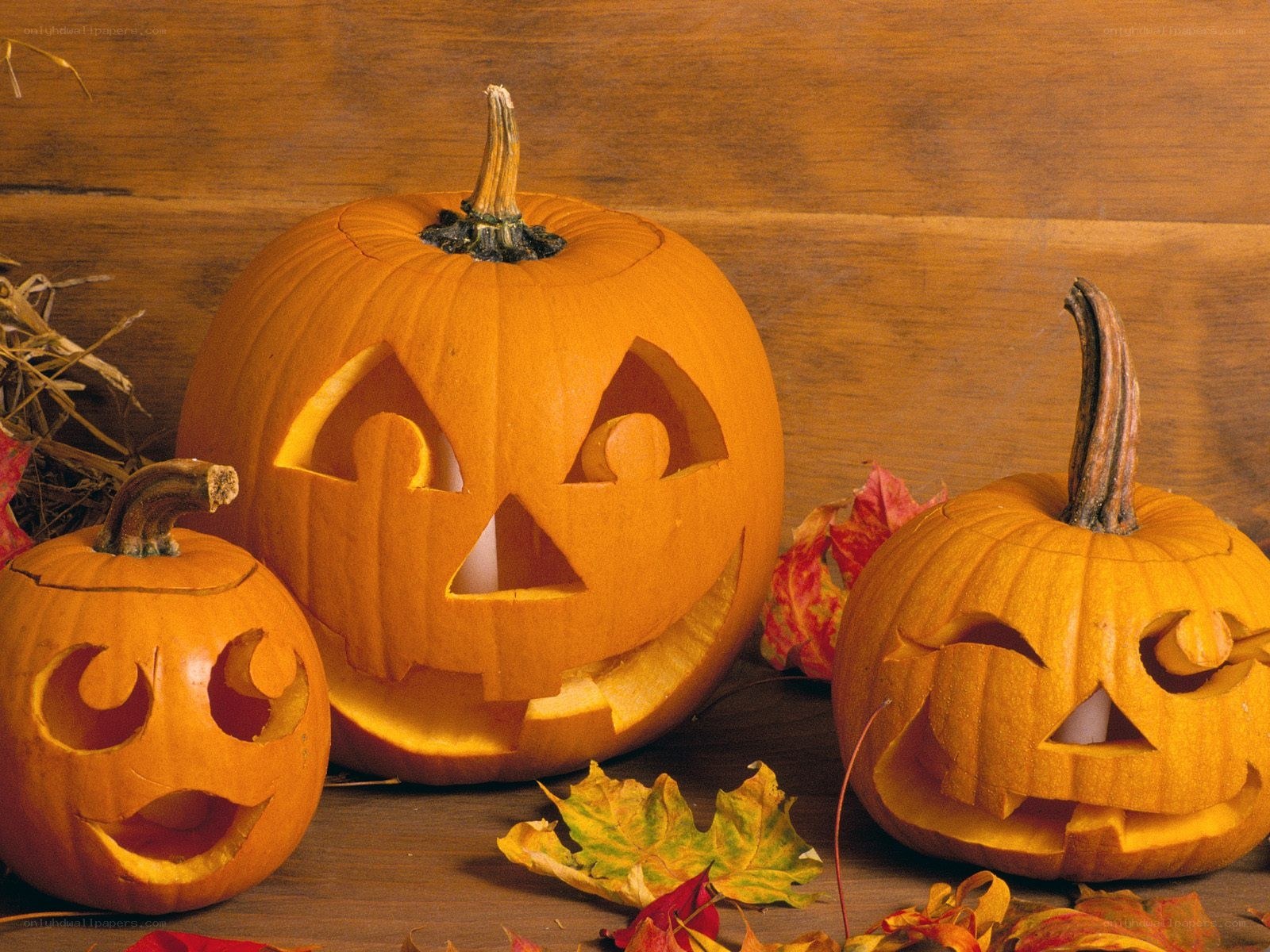 Carved pumpkins for Halloween
