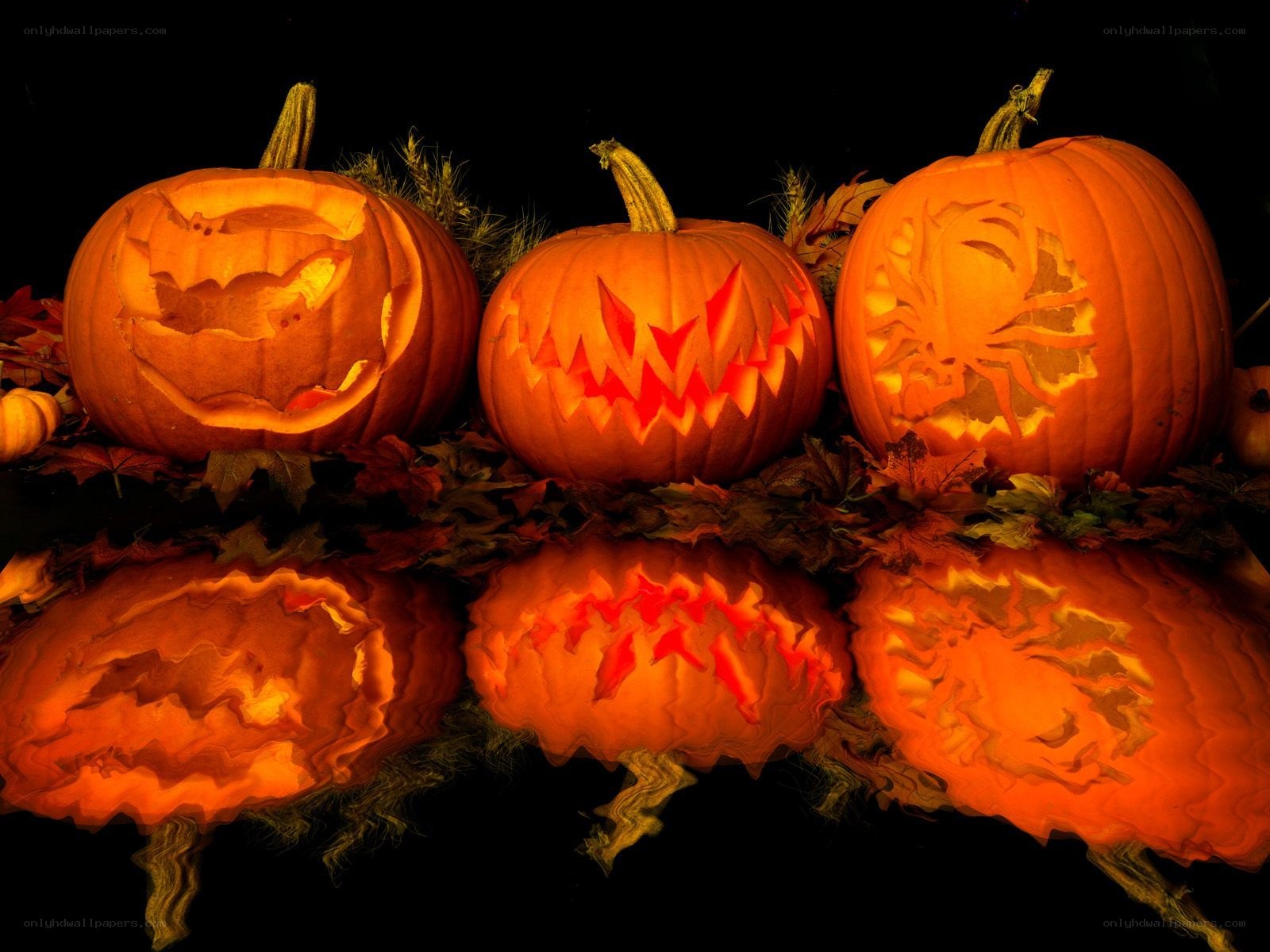 Carved pumpkins for Halloween