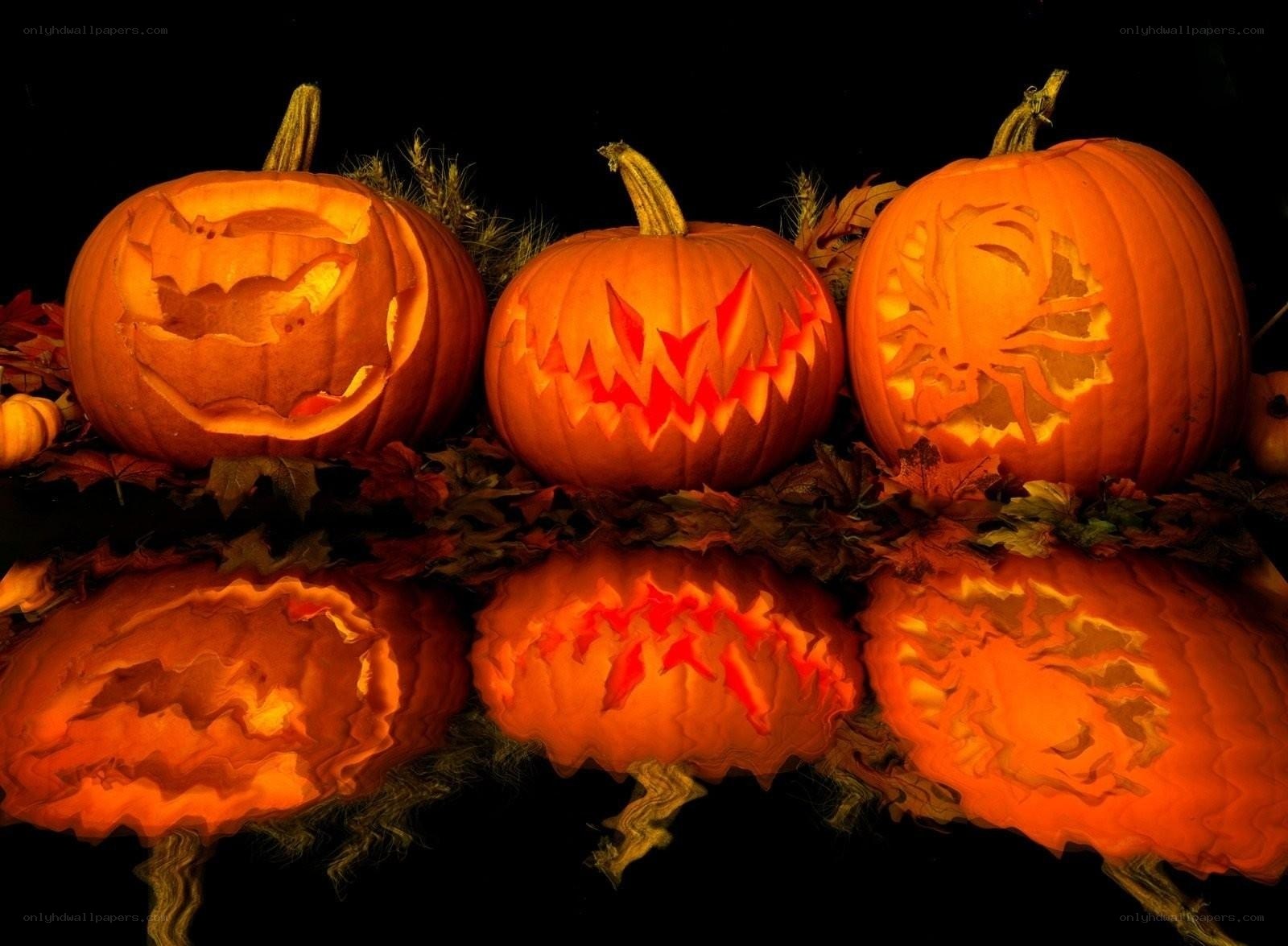 Carved pumpkins for Halloween