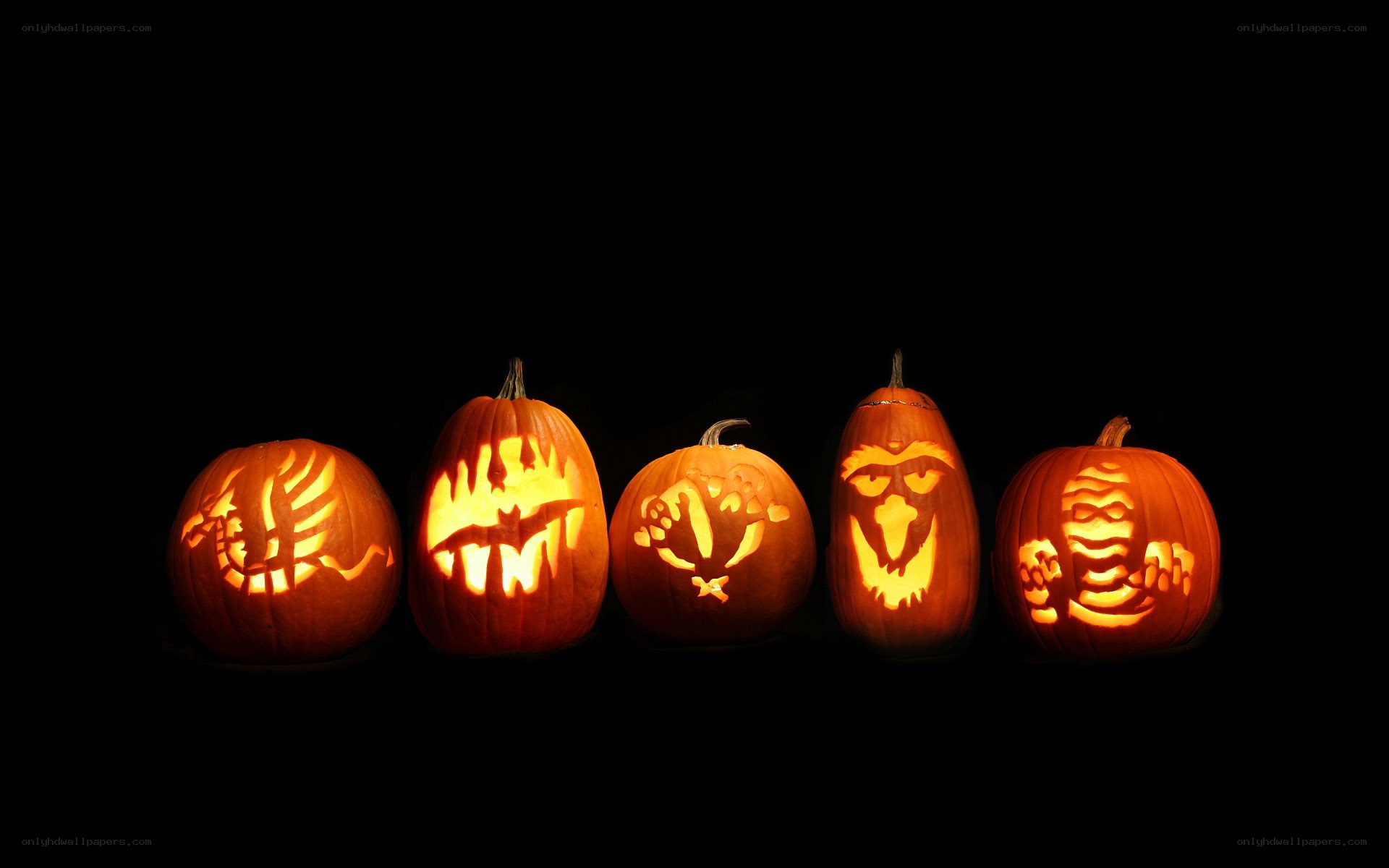 carved pumpkins in a row
