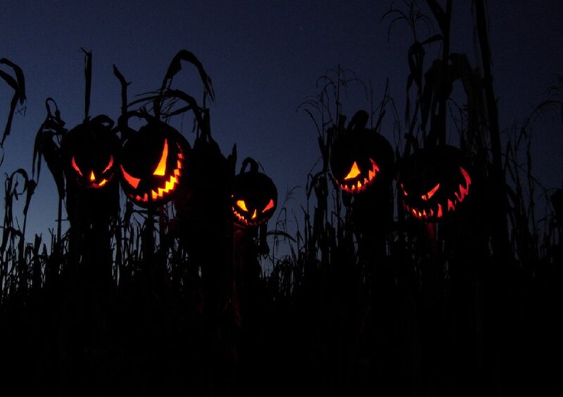 Carved Pumpkins in Field — Black, Spooky