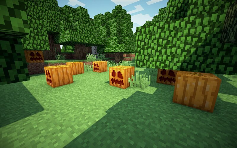 Carved Pumpkins in Forest — Green