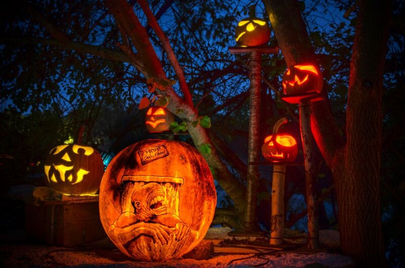 Carved Pumpkins in Forest — Orange, Spooky