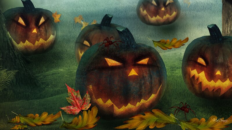 Carved Pumpkins in Forest