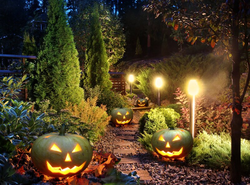 Carved Pumpkins in Garden — Green