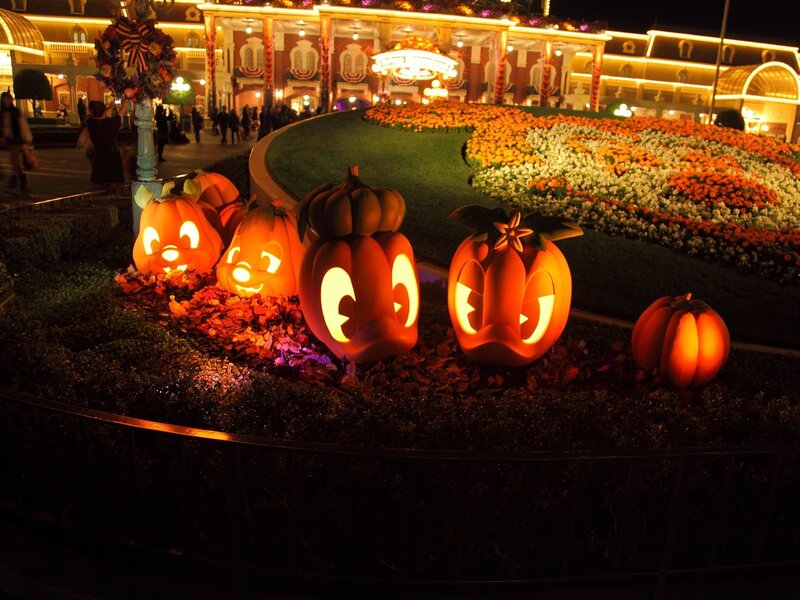 Carved Pumpkins in Garden