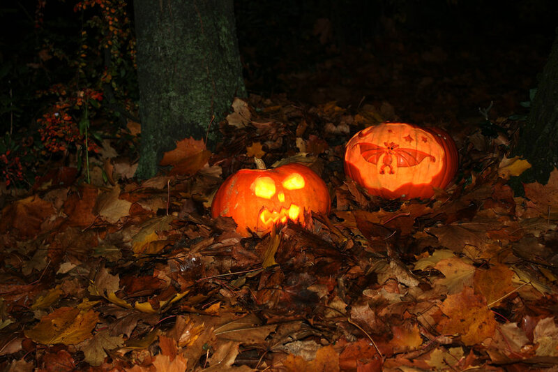 Carved Pumpkins in Leaves — Orange