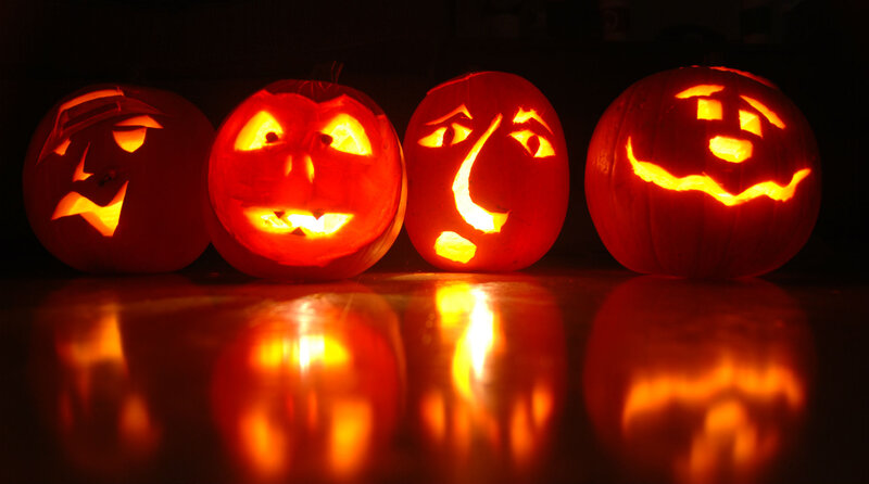 Carved Pumpkins in Row — Orange