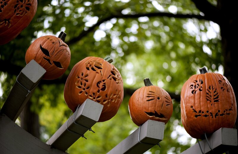Carved pumpkins on display