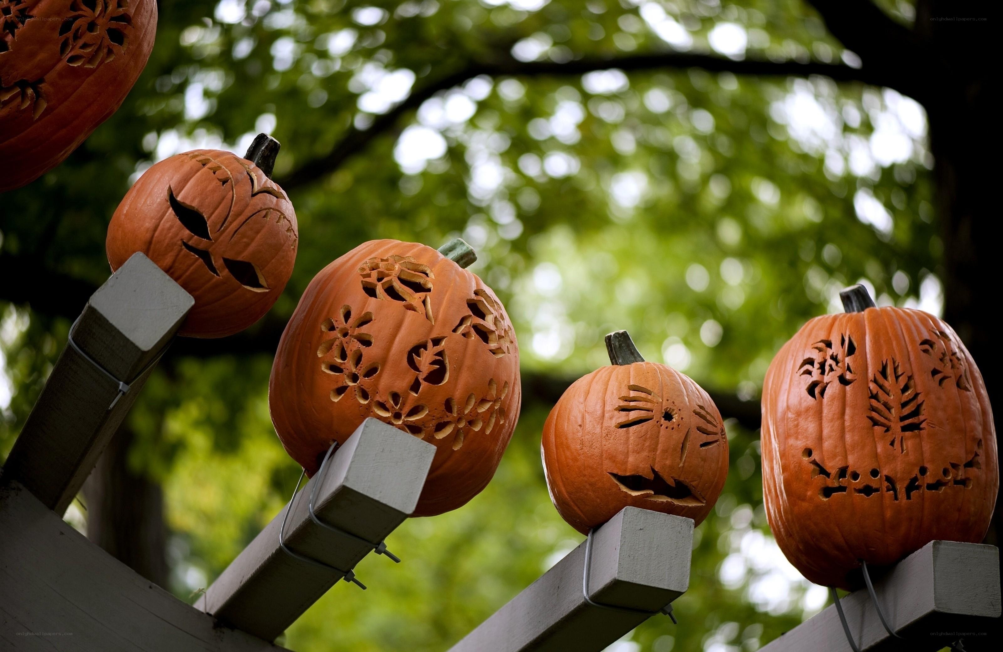 Carved pumpkins on display
