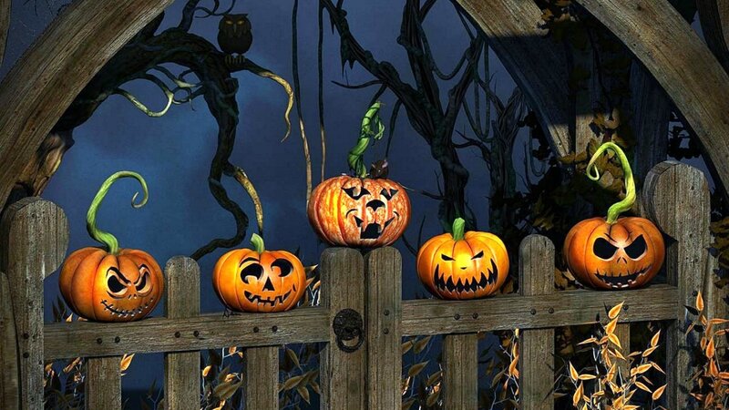Carved Pumpkins on Fence