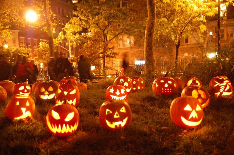 Carved Pumpkins on Grass — Orange