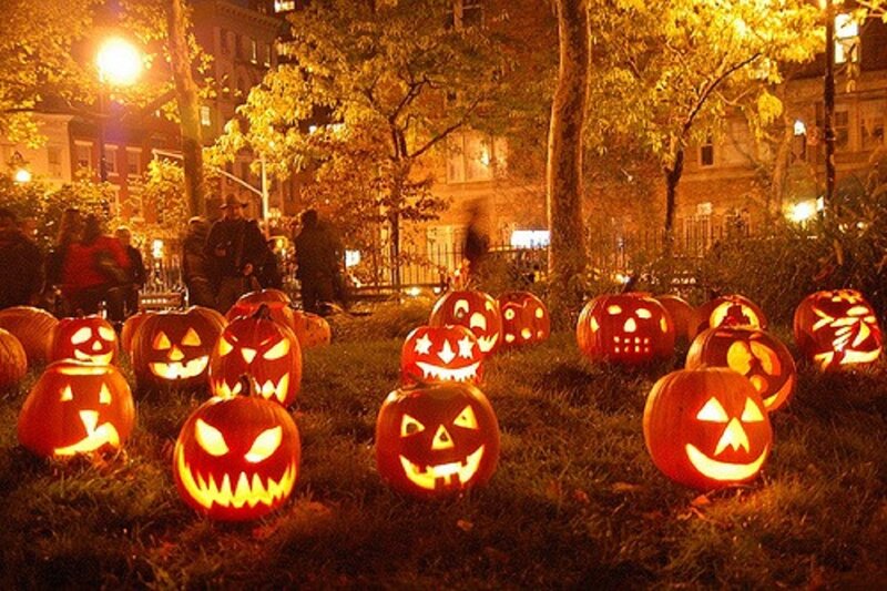 Carved Pumpkins on Grass