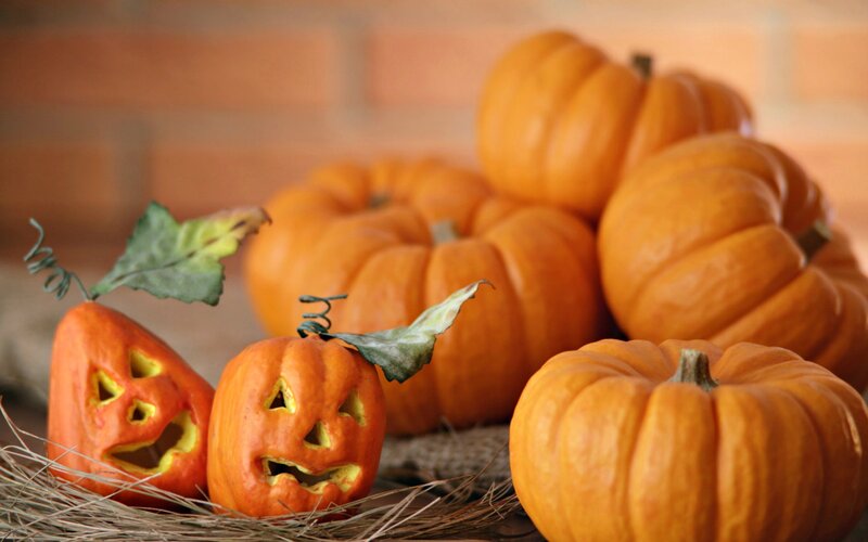 Carved Pumpkins on Hay — Orange, Festive, Autumn