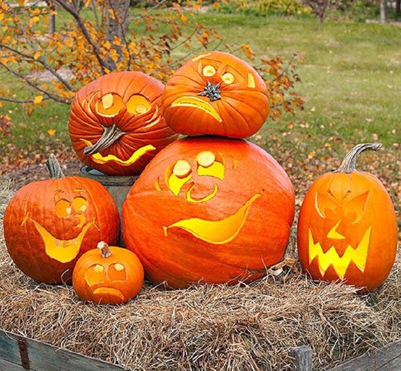 Carved Pumpkins on Hay — Orange, Festive