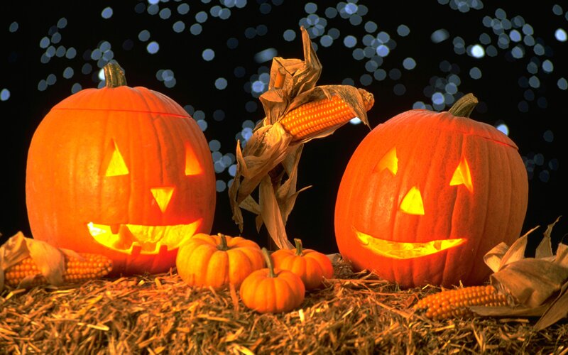 Carved Pumpkins on Hay — Orange