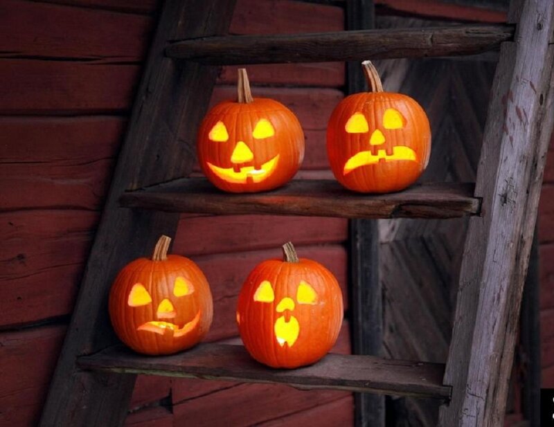 Carved Pumpkins on Ladder — Orange
