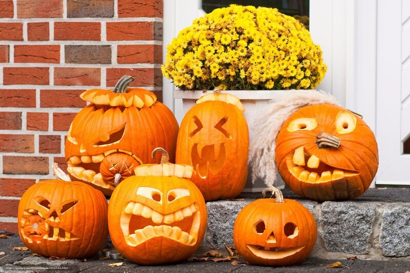 Carved Pumpkins on Porch — Orange, Festive, Autumn, Photograph, Flowers