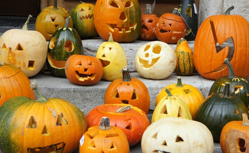 Carved Pumpkins on Steps — Orange