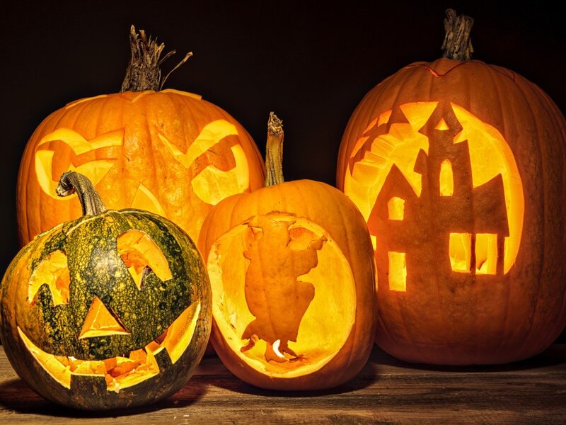 Carved Pumpkins on Wood — Orange