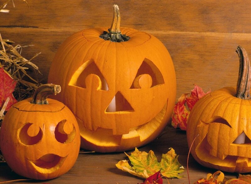 Carved Pumpkins — Orange, Festive, Autumn