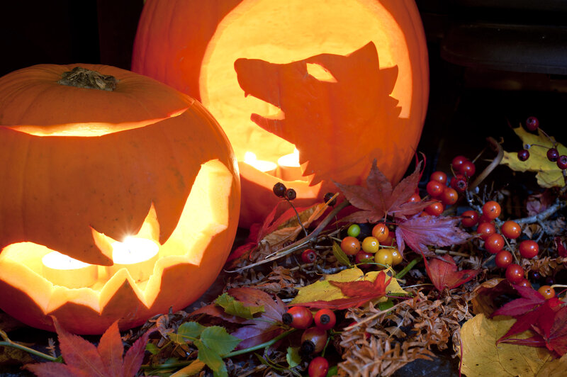 Carved Pumpkins with Candles — Orange, Festive