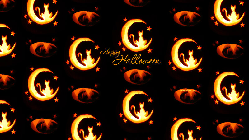 Carved Pumpkins with Cats
