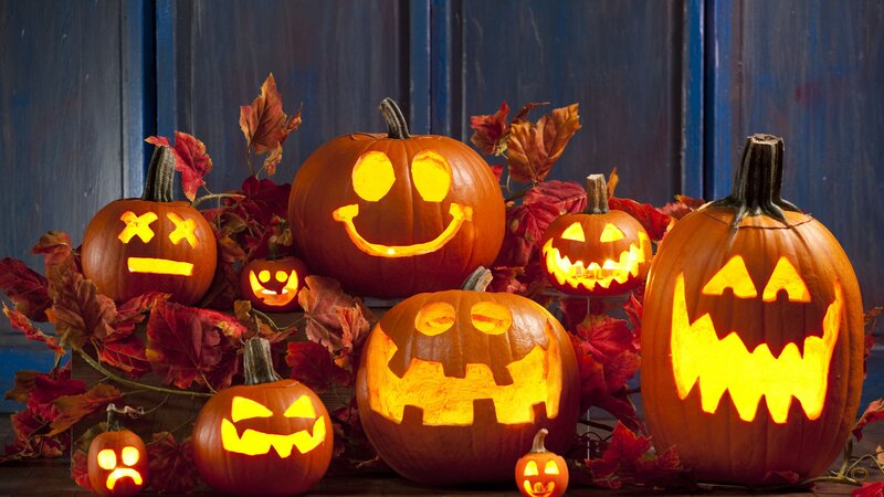 Carved Pumpkins with Lights — Orange, Festive