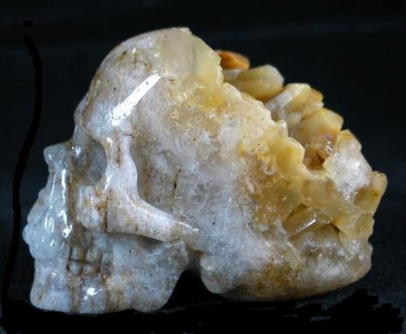 Carved Skull Sculpture — White