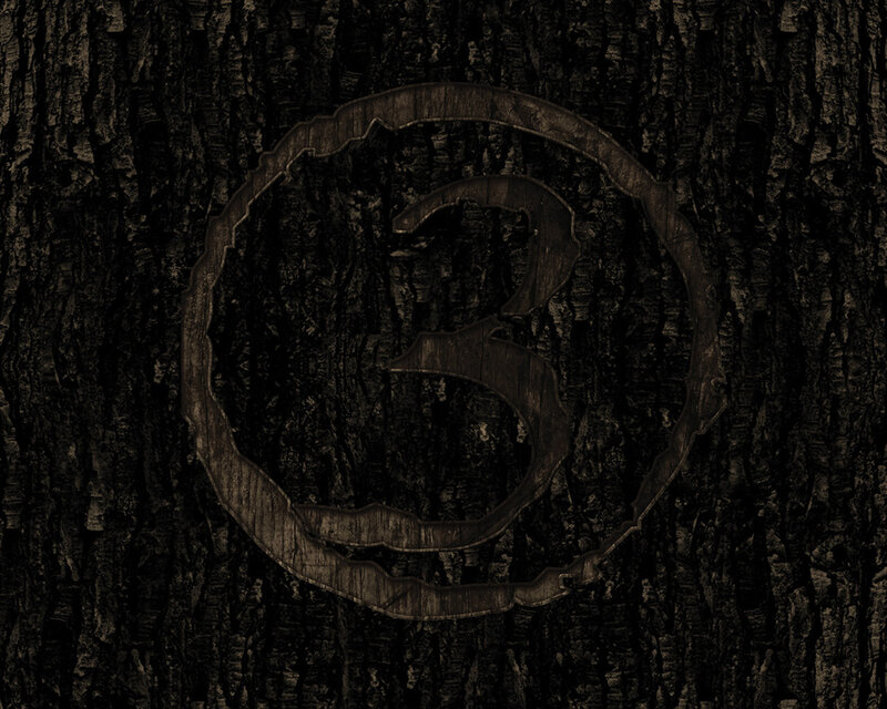 carved symbol on tree bark