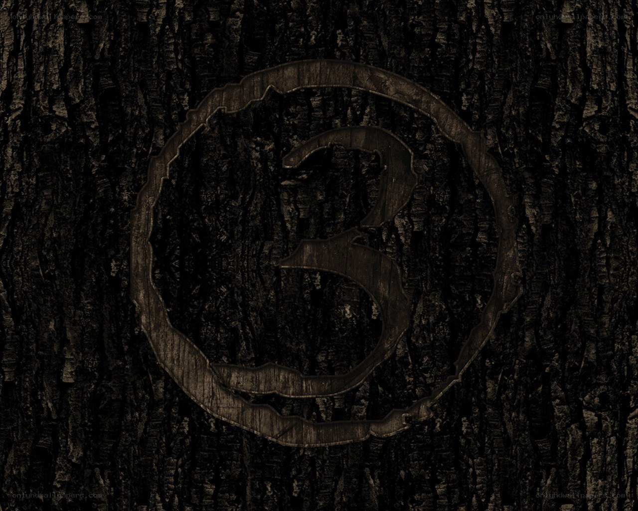 carved symbol on tree bark