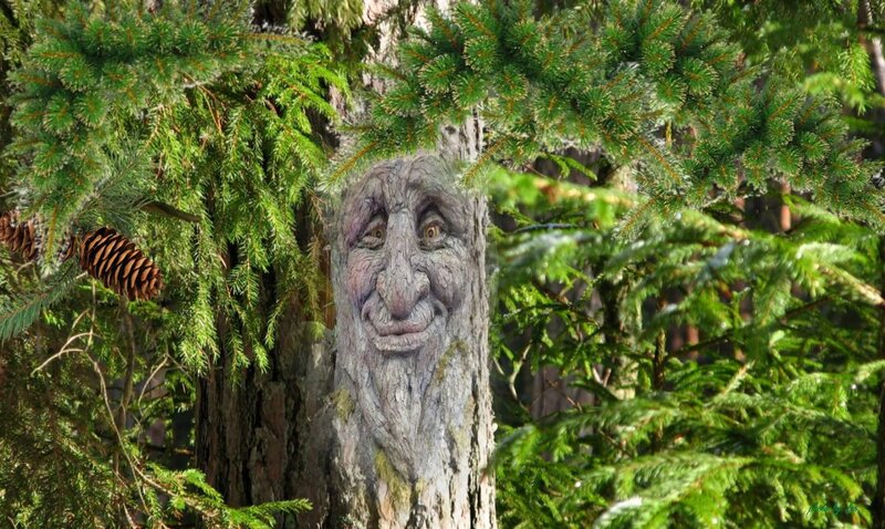 Carved Tree Face — Green, Serene