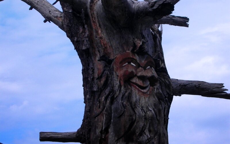 carved tree face sculpture