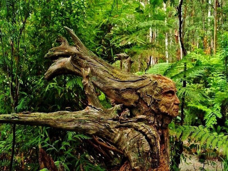 Carved Tree Face