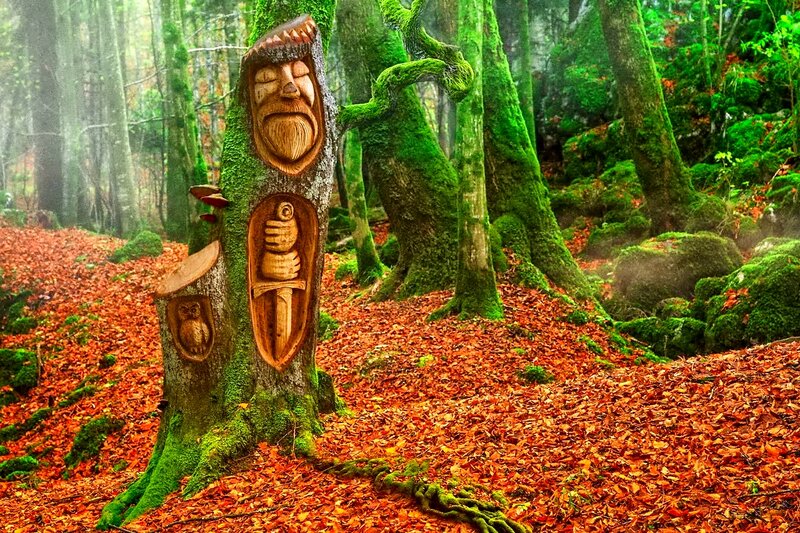 Carved Tree in Forest