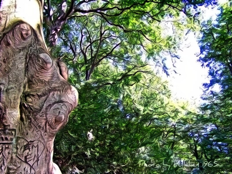 Carved Tree Trunk