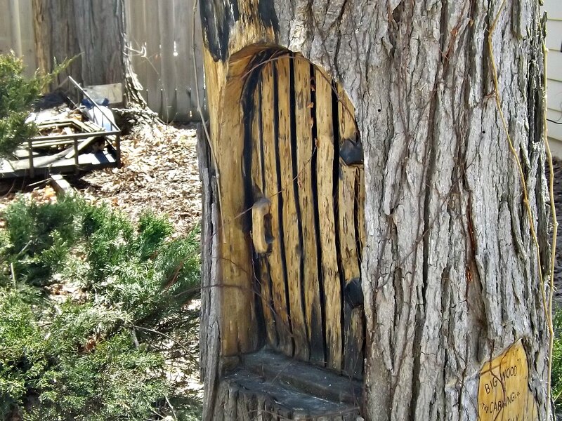 Carved Wooden Door in Tree