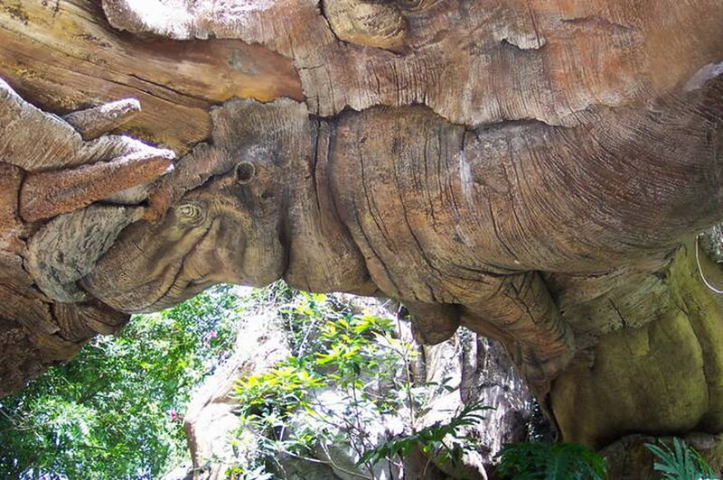 Carved Wooden Elephant