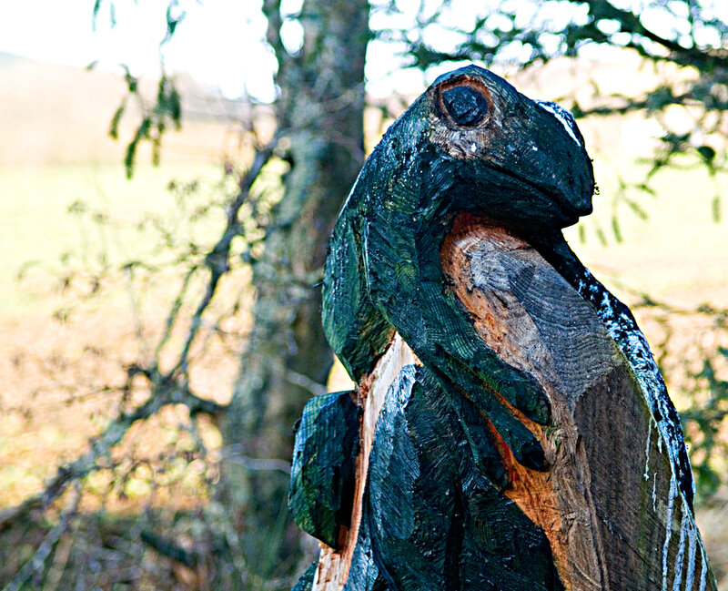 Carved Wooden Frog