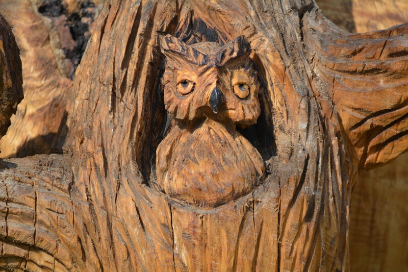 Carved Wooden Owl