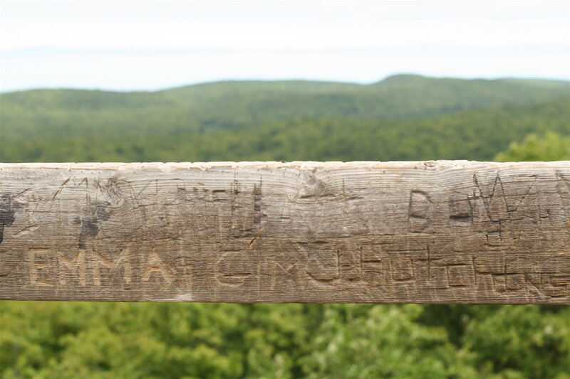 carved wooden railing with forest view