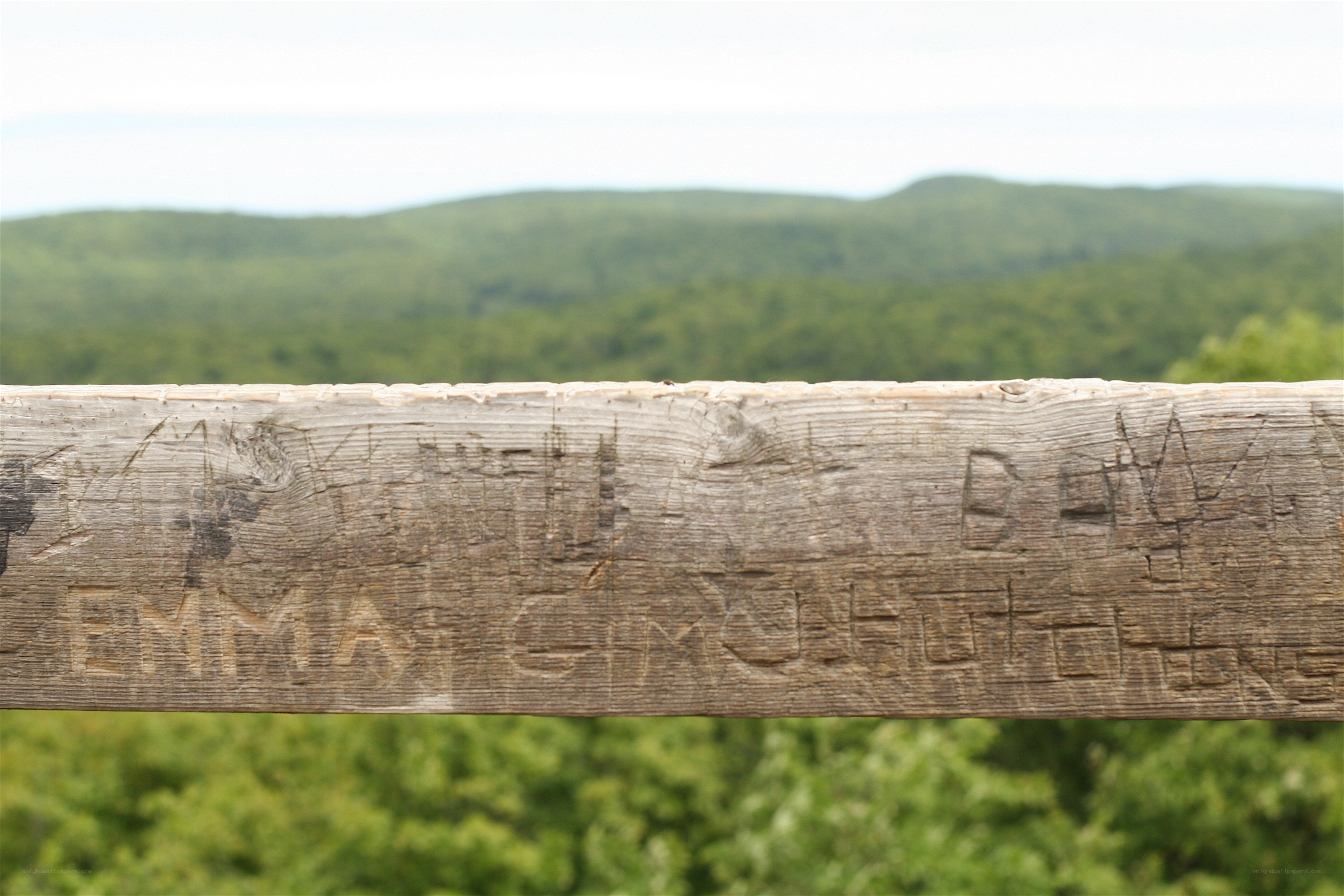 carved wooden railing with forest view