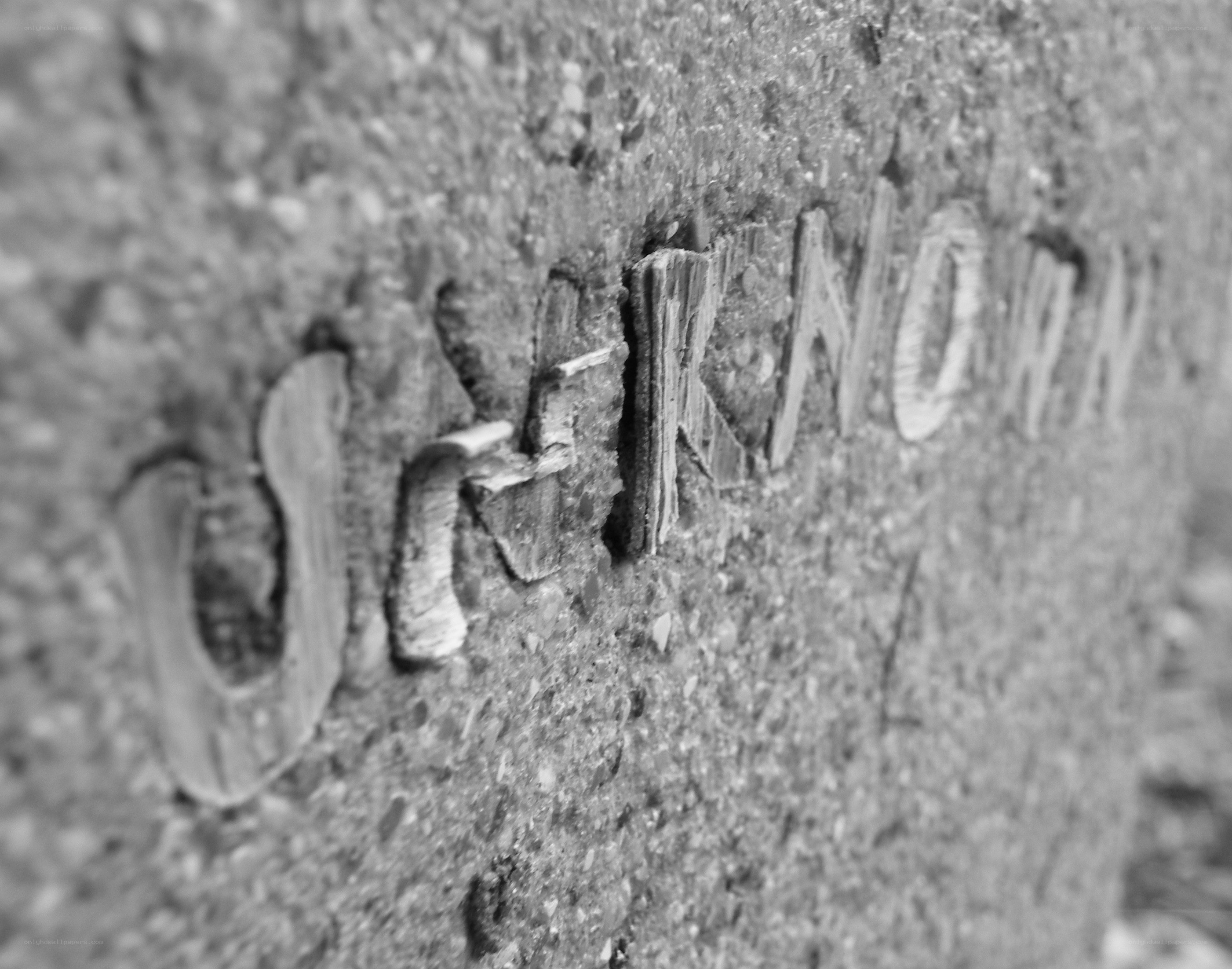 carved word on concrete