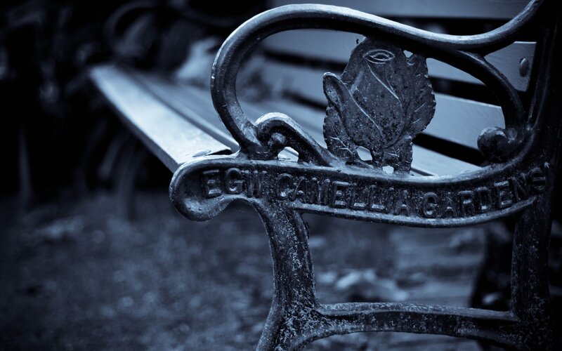 Cast iron bench in Camellia Gardens