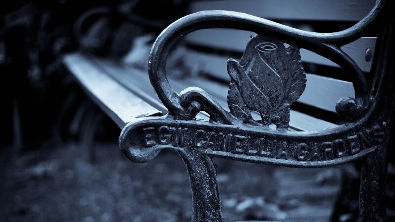 Cast iron bench in Camellia Gardens