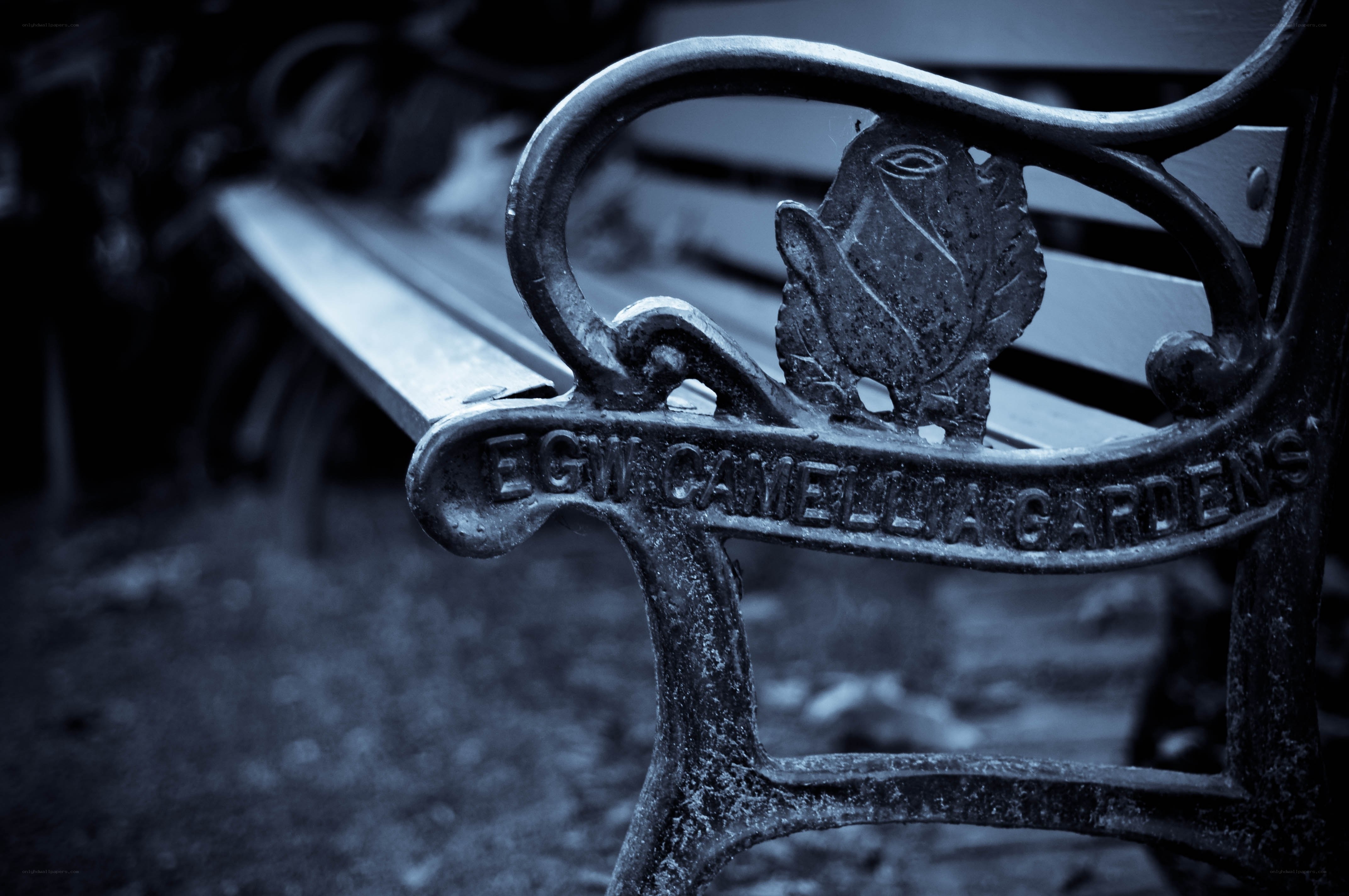 Cast iron bench in Camellia Gardens