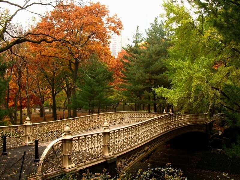 Cast-iron Bridge in Park — Orange